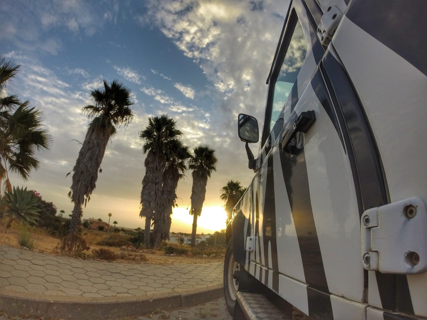 a close up of a jeep next to a palm tree