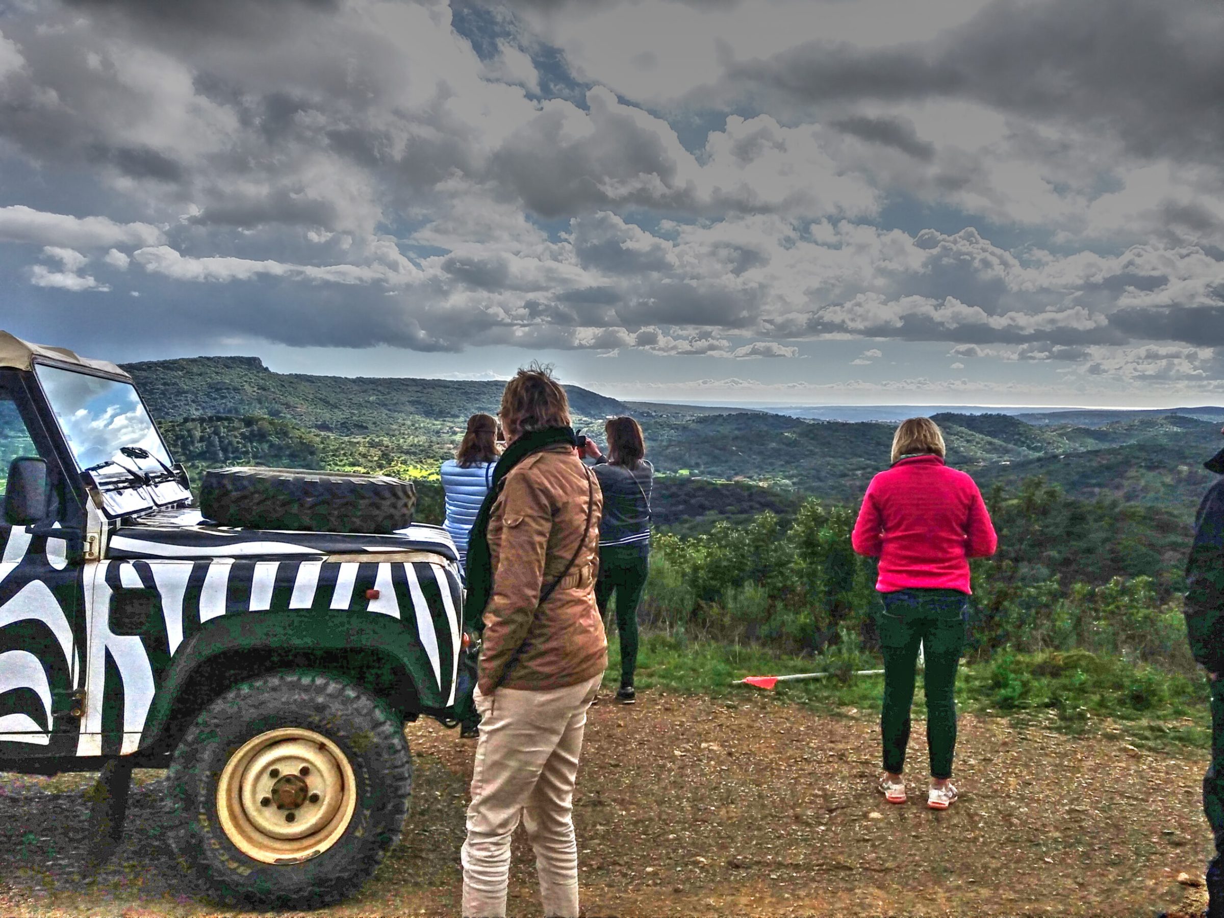a group of people watching a forest view