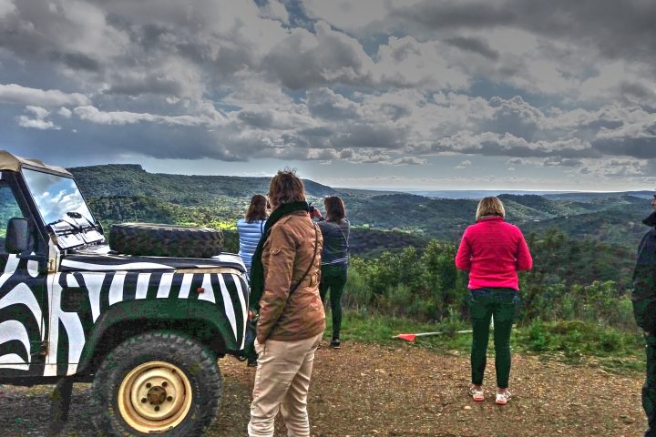 a group of people watching a forest view