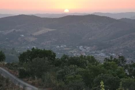 a field with a mountain in the background