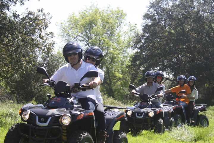 a group of people riding on the back of quad bikes