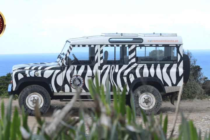 Zebra-patterned SUV on coastal dirt road with ocean view, grass in foreground, and 'Best Choice' badge in corner.