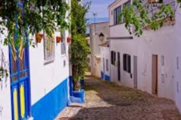 Narrow cobblestone street with white buildings, blue accents, and lush greenery.