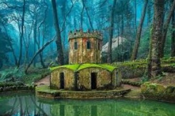 Moss-covered stone building by a pond surrounded by dense, misty forest.