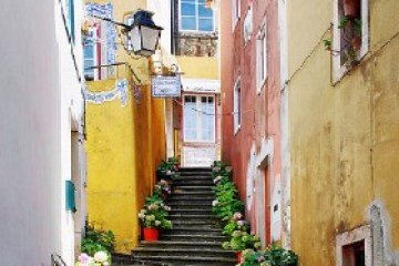 Narrow alley with stone steps, lined with potted plants and colorful buildings.