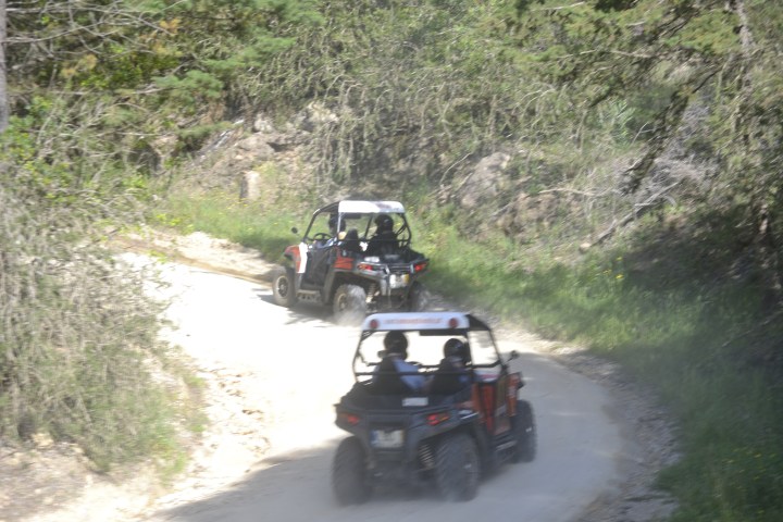 Two ATVs driving on a dirt path surrounded by trees and greenery.