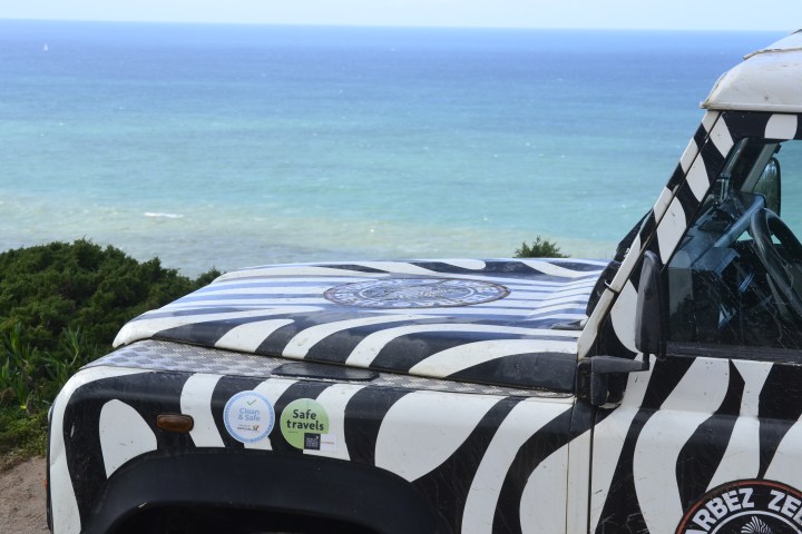 Zebra-patterned vehicle parked near ocean, with 'Clean & Safe' and 'Safe travels' stickers visible.