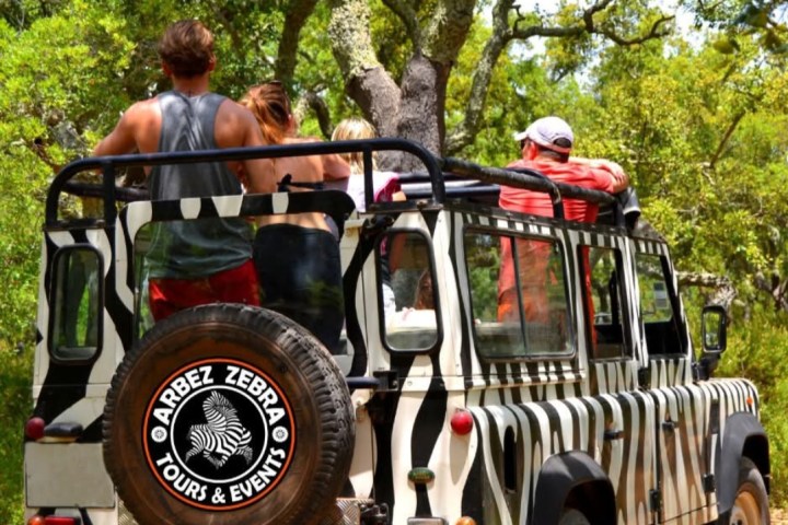 People on a zebra-striped safari jeep with greenery in the background.