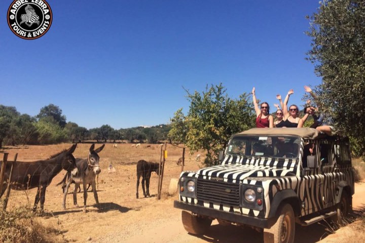 Zebra-patterned jeep with people waving next to donkeys in a pasture.