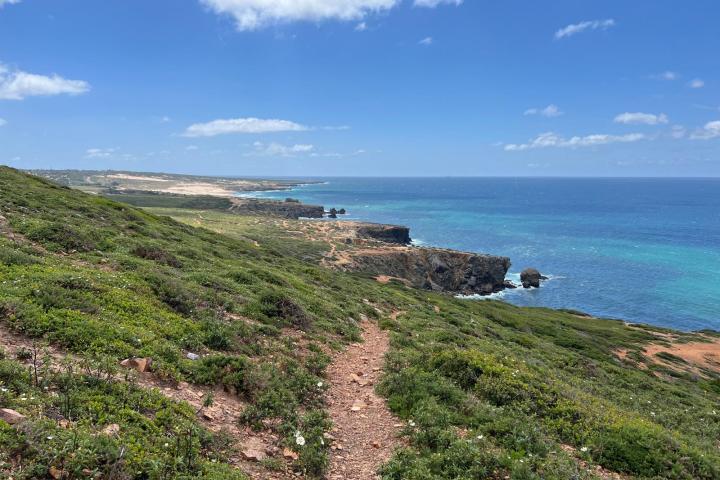 Coastal landscape with green cliffs, sea view, and a clear blue sky with scattered clouds.