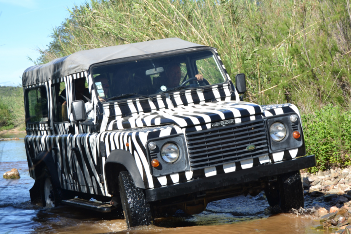 Zebra-striped Land Rover driving through a shallow stream.