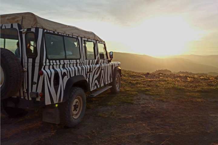 Zebra-striped SUV parked on grassy hill at sunset.