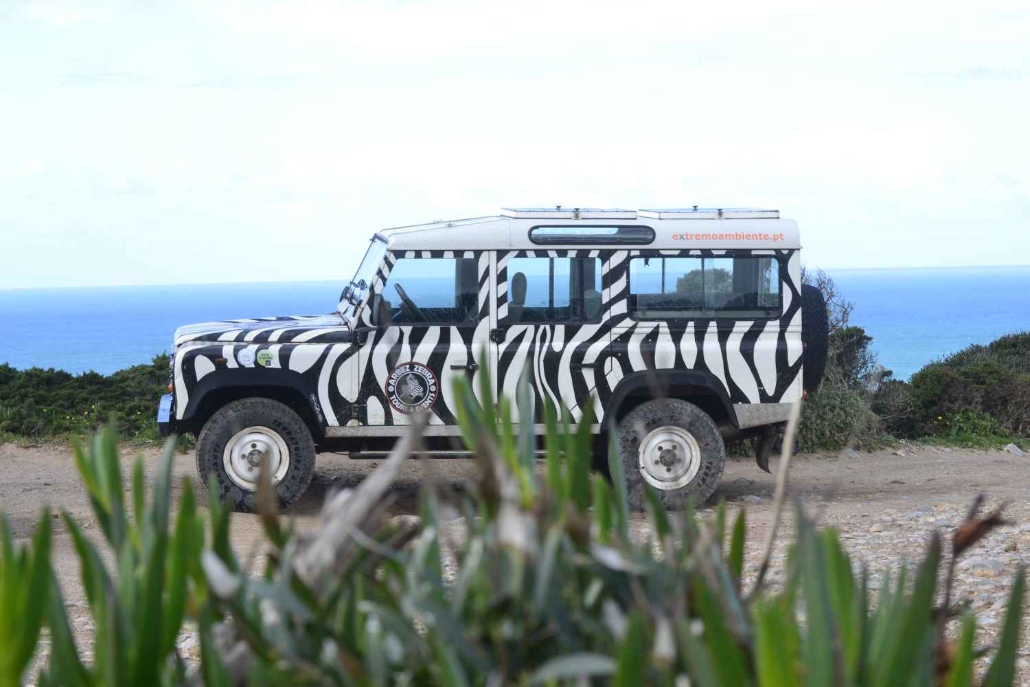 Land Rover with zebra stripes near ocean and shrubs.