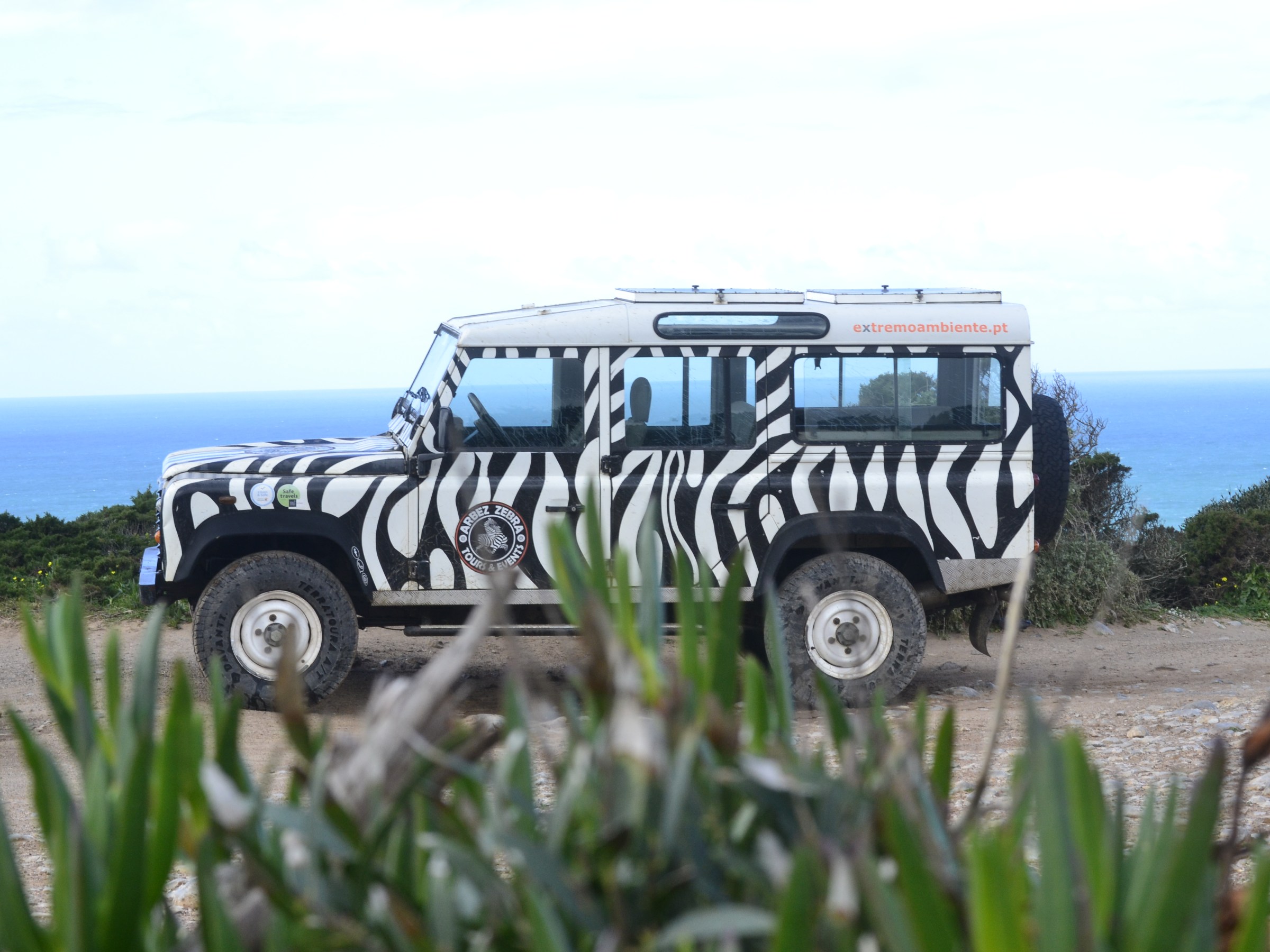 Land Rover with zebra stripes near ocean and shrubs.