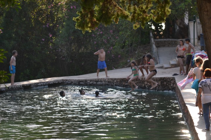 People swimming and relaxing by a pond in a park.