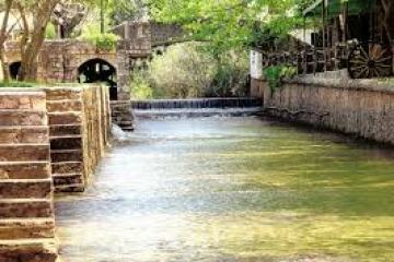 Stone steps next to a stream under a wooden bridge with trees.
