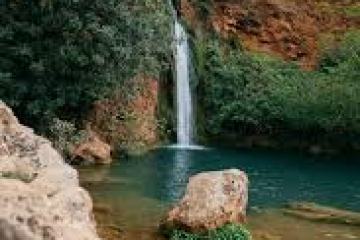 Small waterfall flowing into a natural pool surrounded by green foliage and rocks.