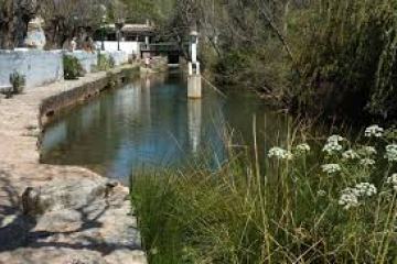 Peaceful waterway with plants on banks and houses in background.
