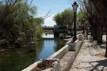 Tree-lined canal path with a lamp post and distant bridge.