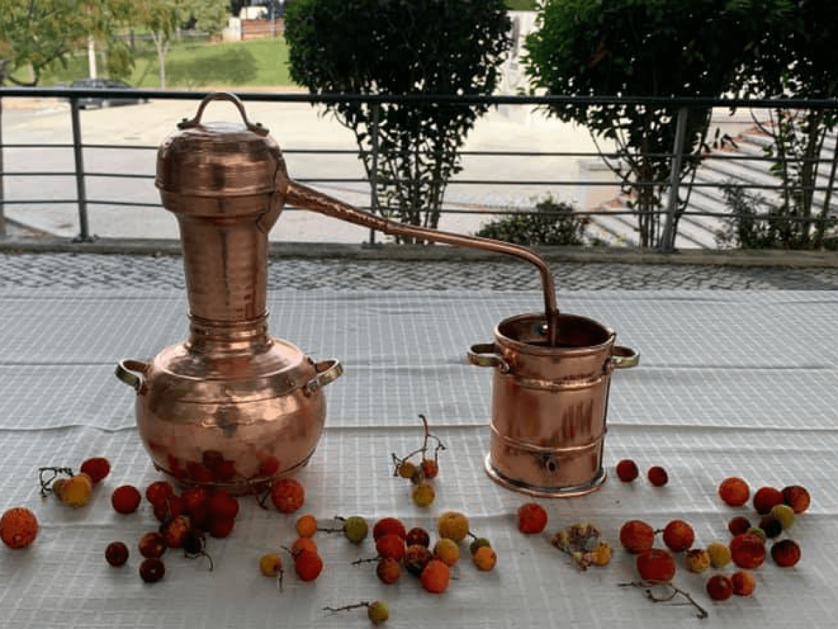 Copper distillation apparatus with scattered berries on a table.