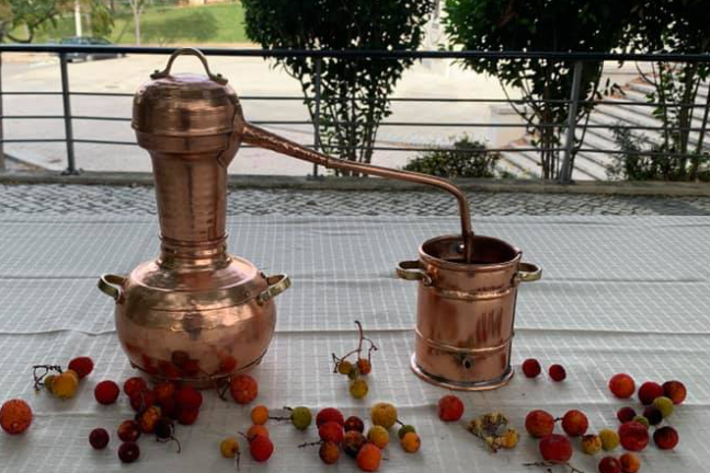 Copper distillation apparatus with scattered berries on a table.